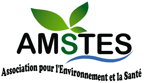 logo_AMSTES_1.png